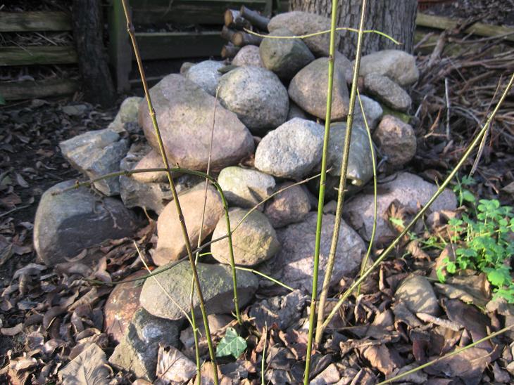 Steine als Nisthilfen - Steinhaufen