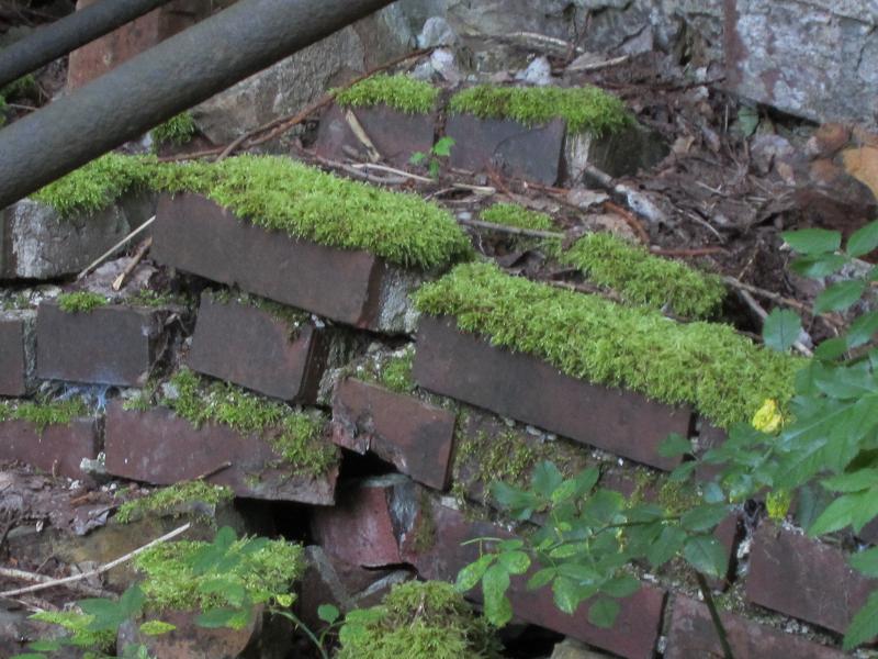 Steine als Nisthilfen - Steinmauern und aehnliches