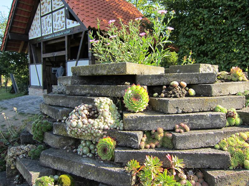 Steine als Nisthilfen - Steingarten
