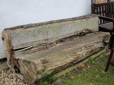 Totholz -Totholz als Tisch / Stuhl / Bank / Lampe / Staender